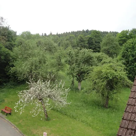 Gastehaus Zur Linde Horb am Neckar